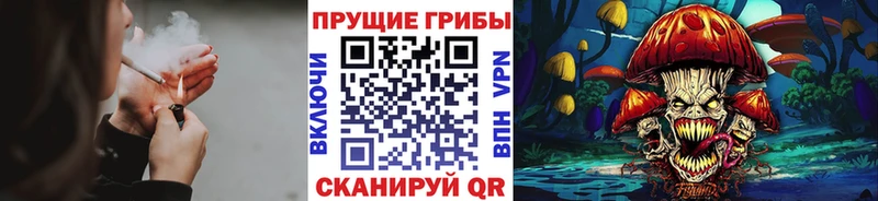 цена   Северо-Курильск  Галлюциногенные грибы GOLDEN TEACHER 